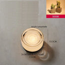 Axyaa Nordic LED Wall Light - 4 Colors, Acrylic Lampshade, Modern Design