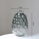 Axyaa Gradient Glass Vase Hydroponic Terrarium Home Decor Accessory