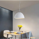Axyaa Nordic Resin Pendant Lights for Home Decor and Lighting Fixtures