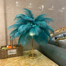 Axyaa Rechargeable Ostrich Feather Table Lamp: Nordic Romantic Night Light for Cozy Bedroom