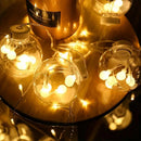 Axyaa Wishing Ball Curtain String Light LED Starry Sky Room Decoration