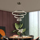 Axyaa Nordic Circular Chandelier Pendant Light for Living Room and Dining Room