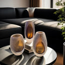Axyaa Frosted Glass Vase: Elegant Floral Arrangement Home Decor & Hydroponics Accessory