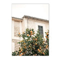 Axyaa Lemon Orange Harvest Canvas Wall Art Print Interior Decor