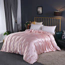 Axyaa Mulberry Silk Duvet Cover Queen Skin Beauty Comforter Cover Bed Blanket