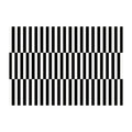 Axyaa Zebra Pattern Plush Living Room Carpet - Nordic Style Large Area Rug