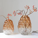 Axyaa Gradient Glass Vase Hydroponic Terrarium Home Decor Accessory
