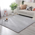 Axyaa Coral Fleece Soft Area Rug for Living Room, Bedroom, or Yoga Mat