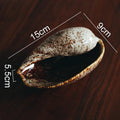 Axyaa Conch Ceramic Dinner Plate for Molecular Cuisine, Restaurant, and Sushi