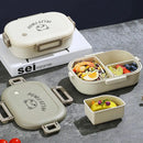 Axyaa 3-Compartment Bento Lunch Box: Leak-proof, Microwave Safe