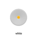 Axyaa LED Ceiling Light for Model Display Counters and Wine Cabinets