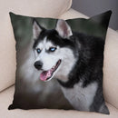 Axyaa Siberian Husky Pet Sofa Cushion Cover - Cute Dog Print Pillowcase