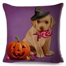 Axyaa Cartoon Pet Dog Print Pillow Covers 45x45cm for Home and Car Decor