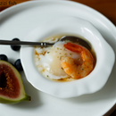 Axya White Bone Dinner Plate Set