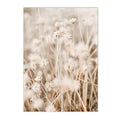Axyaa Reed Lion Landscape Canvas Print Wall Art for Nordic Living Room Decor