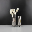 Axyaa Silver Geometric Ball Glass Vase - Abstract Cylinder Home Décor Accessory
