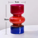 Axyaa Nordic Retro Glass Vase for Hydroponic Plants and DIY Flower Arrangements