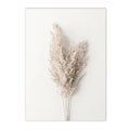 Axyaa Beige Bunny Tail Grass Pampas Reed Wall Art Print & Decor