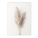 Axyaa Beige Bunny Tail Grass Pampas Reed Wall Art Print & Decor