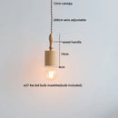 Axyaa Glass Lampshade LED Pendant Light for Modern Nordic Home Decor