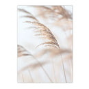 Axyaa Beige Bunny Tail Grass Pampas Reed Wall Art Print & Decor