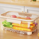 Axyaa Large Capacity Crisper Box for Food Preservation and Storage