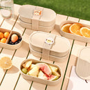 Axyaa Double Layer Microwave Lunch Box with Dividers - Portable Bento Box