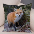 Axyaa Fox Pillowcase for Home, Office, Car Decor
