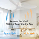 Axyaa Modern Black White Ceiling Fan Low Floor DC Motor 30W With Remote Control