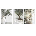 Axyaa Canvas Poster Painting: Olive Green Leaf Tree Wall Art Print Ancient Architecture Puglia