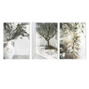 Axyaa Canvas Poster Painting: Olive Green Leaf Tree Wall Art Print Ancient Architecture Puglia
