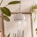 Axyaa Amber Glass Pendant Lights Adjustable for Bedroom and Balcony