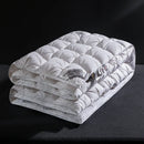 Axyaa 2024 Long-Staple Cotton Down Quilt with 95% White Goose Down - Winter Warmth