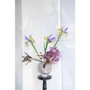 Axyaa Gradient Glass Vase for Stylish Home Decor & Flower Arrangement