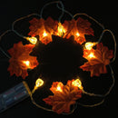 Axyaa Autumn Maple Leaf Pumpkin LED Fairy String Light