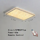Axyaa LED Circular Ceiling Lights Warm Lighting Modern Home Decor