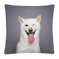 Axyaa Cute Dog Photo Polyester Cushion Cover for Home Sofa Car