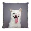 Axyaa Dog Photo Pattern Cushion Cover for Home Sofa Car Decoration