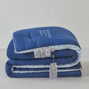 Axyaa Silk Comforter Queen King Size Luxury Temperature Control Bedding