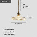 Axyaa Glass Pendant Chandelier Lighting E27 Hang Lamp for Home Decoration