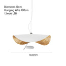 Axyaa Lotus Leaf Art LED Pendant Chandelier for Restaurant, Bedroom, and Clothing Store