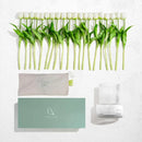 Axyaa Ribbed Glass Vase with White Tulips Artificial Flowers 20-Piece Set
