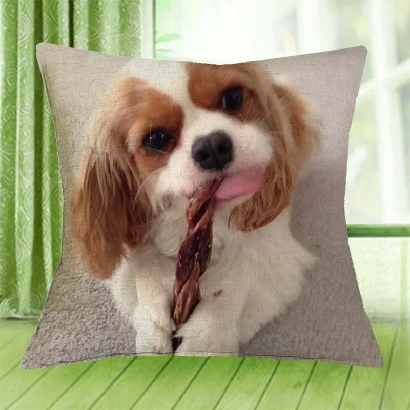 Axyaa Cavalier King Charles Spaniel Sofa Cushion Cover - Home Decor & Party Accessory