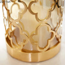 Axyaa Creative Metal Glass Vase with Golden Print - Modern Home Decor & Flower Arrangement