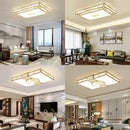 Axyaa LED Ceiling Lamp for Home Indoor Lighting Decor
