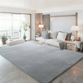 Axyaa Gray Coral Fleece Living Room Rug for Sofa, Coffee Table, Kids Bedroom