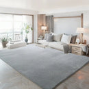 Axyaa Gray Coral Fleece Living Room Rug for Sofa, Coffee Table, Kids Bedroom