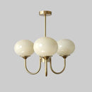 Axyaa Glass Chandelier Pendant Light for Elegant Living & Dining Room Decor
