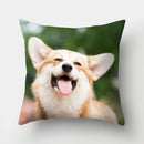 Dog Pattern Cushion Cover for Home Decor by Axyaa