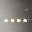 Axyaa Nordic Chandeliers for Dining Room - Indoor Ceiling Light Fixture